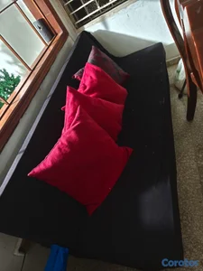 Sofa Cama