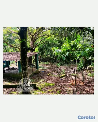solares y terrenos - Mayor de ley🍃🏡 5