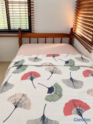 muebles y colchones - 2 Camas Twin completas - RD$10,000 c/u 2