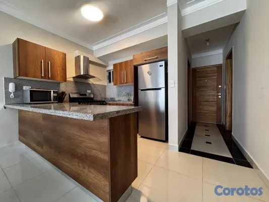 apartamentos - Se alquila Amueblado en bella vista 1 hab 6