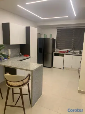 apartamentos - Apartamento En Alquiler Amueblado En La Esperilla  10