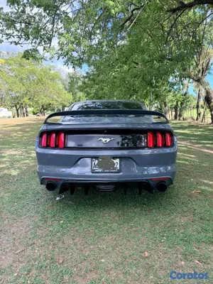 carros - Ford mustang ecco 2015 4