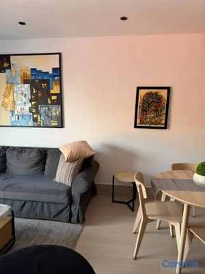 apartamentos - APARTAMENTO AMUEBLADO EN ALQUILER – PIANTINI SANTO 5