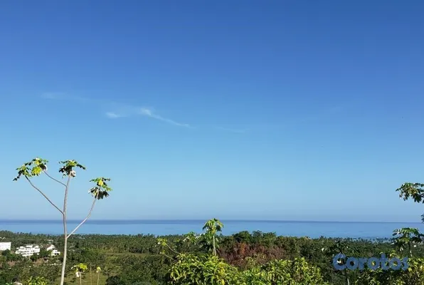 solares y terrenos - En venta terreno de 10,000 m² en Cosón, Las Terrenas 2