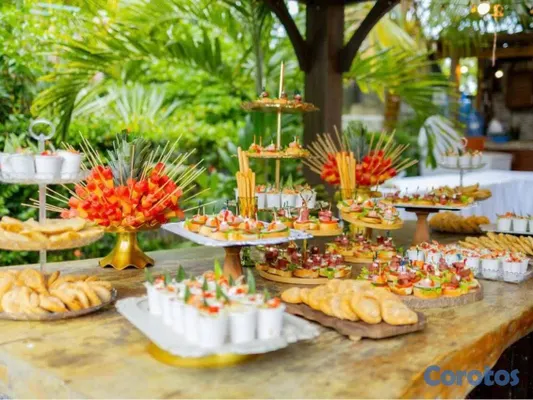 servicios profesionales - Decoración de Eventos en Higüey y Punta Cana: Boda 5