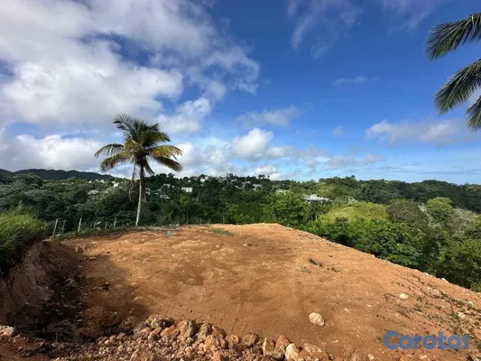 solares y terrenos - Solares con vista a la montaña en Las Terrenas – desde US$21,300 7