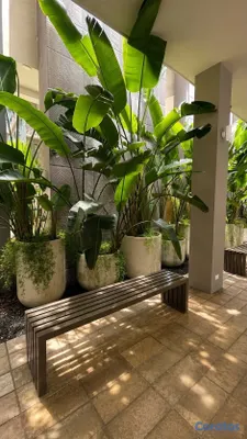 apartamentos - alquiló Gazcue totalmente amuebaldo piso 6 tres habitaciones dos parqueos servi 17