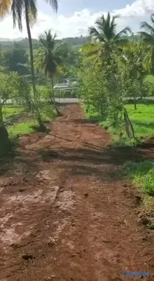 solares y terrenos - TERRENO EN VENTA | CARRETERA SAMANÁ–LAS GALERAS 5