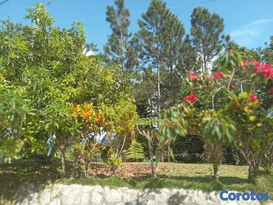 solares y terrenos - SE VENDE HERMOSA FINCA EN EL CACAO de San Cristoba 9