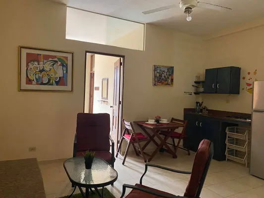 apartamentos - Apartamento amueblado de 1 habitación en la Zona Colonial, Santo Domingo 2
