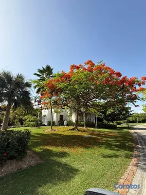 casas vacacionales y villas - Green Village, Cap Cana: bungalow amueblado de 1 habitación 5