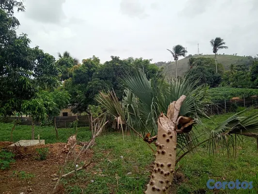 solares y terrenos - venta de terreno  8