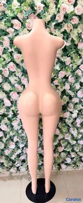 equipos profesionales - maniquí cuerpo completo lipo.  5