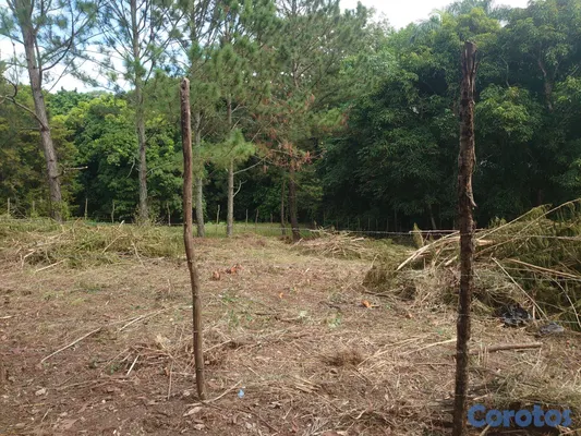 solares y terrenos - SOLAR EN VENTA EN JARABACOA 7