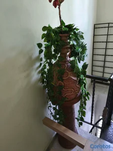 Decoración 