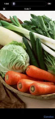 cocina - vegetales y frutas y víveres huevos  7