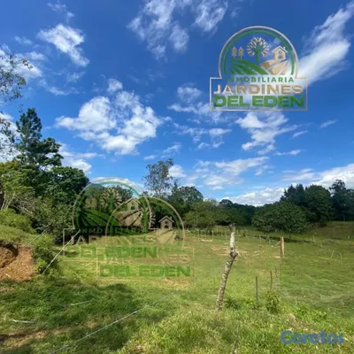 solares y terrenos - EDÉN 1ro🌳❤️ 4