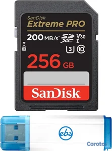 Memoria SD 256GB