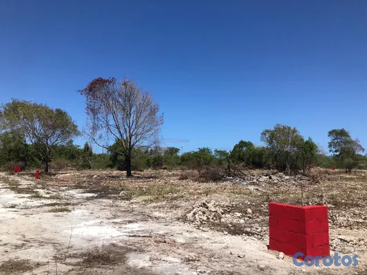 solares y terrenos - Terreno detrás de Espalliat Motors Punta Cana 9