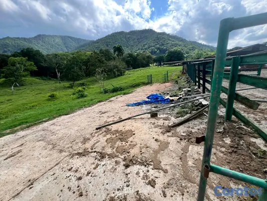 solares y terrenos - finca de criadero de animales en maimon 17