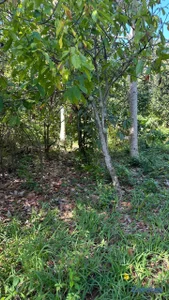 TERRENO EN VENTA – LOS PATOS, BARAHONA