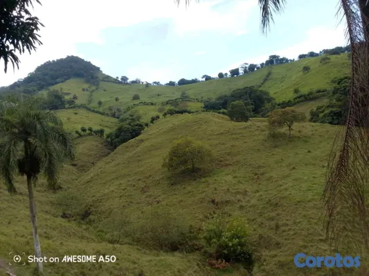 solares y terrenos - finca de 450 tareas con vocación ganadera en yamasa  16