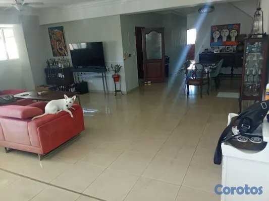 apartamentos - Amplio Apartamento en alquiler – Bella Vista 7mo nivel. 2