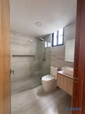 apartamentos - 2do piso con terraza en alquiler en Serralles 13