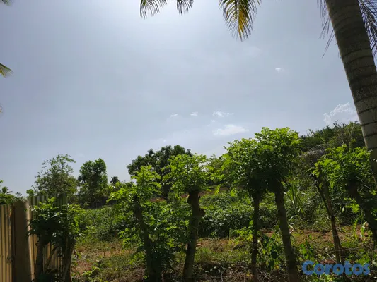 solares y terrenos - ¡SOLAR EN VENTA DE 6,000 M²! 3