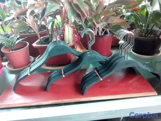 decoración y accesorios - 100 perchas zara por 1200 para adulto, adolescentes, niños y recién nacidos 4