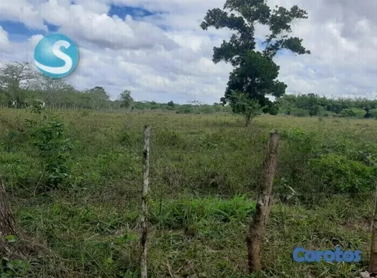 solares y terrenos - Solar en venta 5