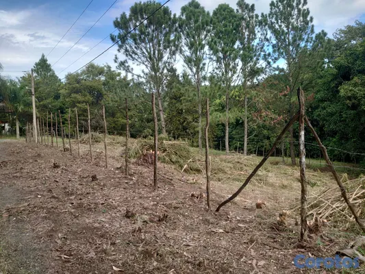 solares y terrenos - SOLAR EN VENTA EN JARABACOA 6