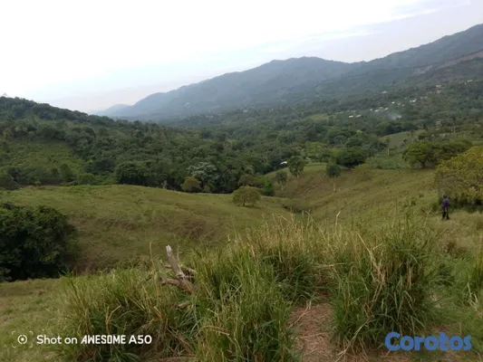 solares y terrenos - finca de 450 tareas con vocación ganadera en yamasa  2