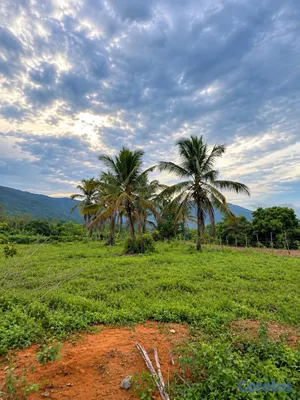 solares y terrenos - TERRENO EN VENTA EN LOS MOGOTES RANCH🌴🌅 2