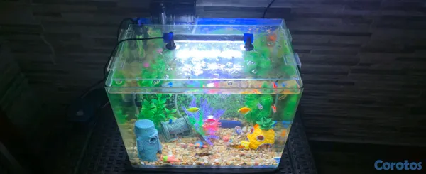 animales y mascotas - Pecera Acuario 10 galones,  2