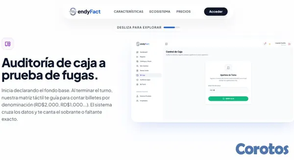 servicios profesionales - Facturación Electrónica DGII hasta 15 Noviembre 20 7