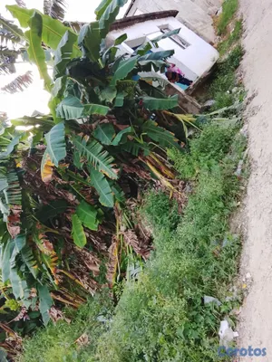 casas - Vendo casa con terreno solo acto de venta notariza 3