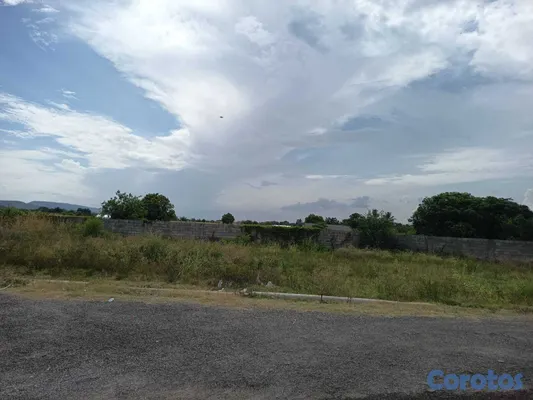 solares y terrenos - Quintas de Venecia, las canelas  2