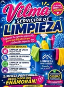 servicios profesionales - vilma servicio de limpieza de apartamento, casa y oficinay también envip