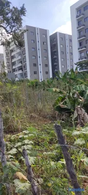 solares y terrenos - vendo  terreno  Los Álamos Santiago de los caballeros. 2