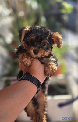 seller-logo
