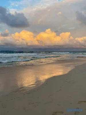 apartamentos - Cana Bay: 1 habitación amueblada cerca de la playa por US$1,150 2