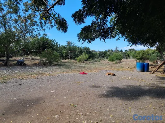 solares y terrenos - Se Vende Finca Agrícola de 48 Tareas en Quija Quie 5
