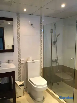 apartamentos - Imponente Departamento en la mejor zona 220 metros piso alto Amueblado 4
