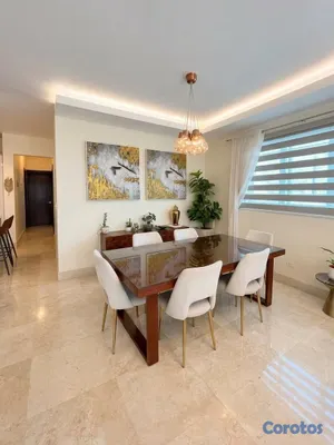 apartamentos - TORRE ROOFTOP Y GIMNASIO VILLA OLGA SANTIAGO MODER 5