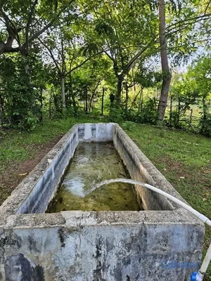 solares y terrenos - MARAVILLOSOS TERRENOS-UN PARAISO EN RINCON YACO ST 3