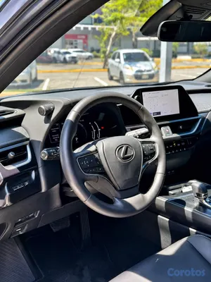 jeepetas y camionetas - Lexus UX300h 6