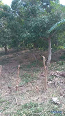 solares y terrenos - se vende terreno en San Cristóbal ideal para villa o 🏡 casa de campo  5