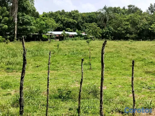 solares y terrenos - finca de 3000 tareas con vocación agrícola en Monte Plata  11