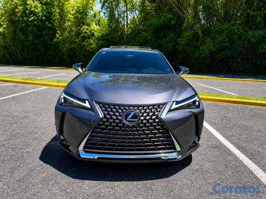 jeepetas y camionetas - Lexus UX300h 11